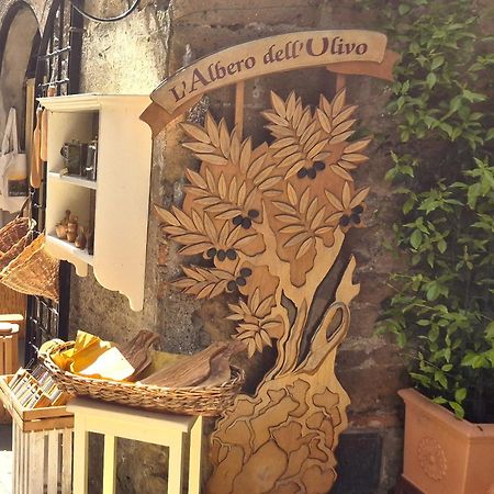 La Casa Dei Ricordi Centro Storico E Vista Villa Pitigliano Exteriör bild